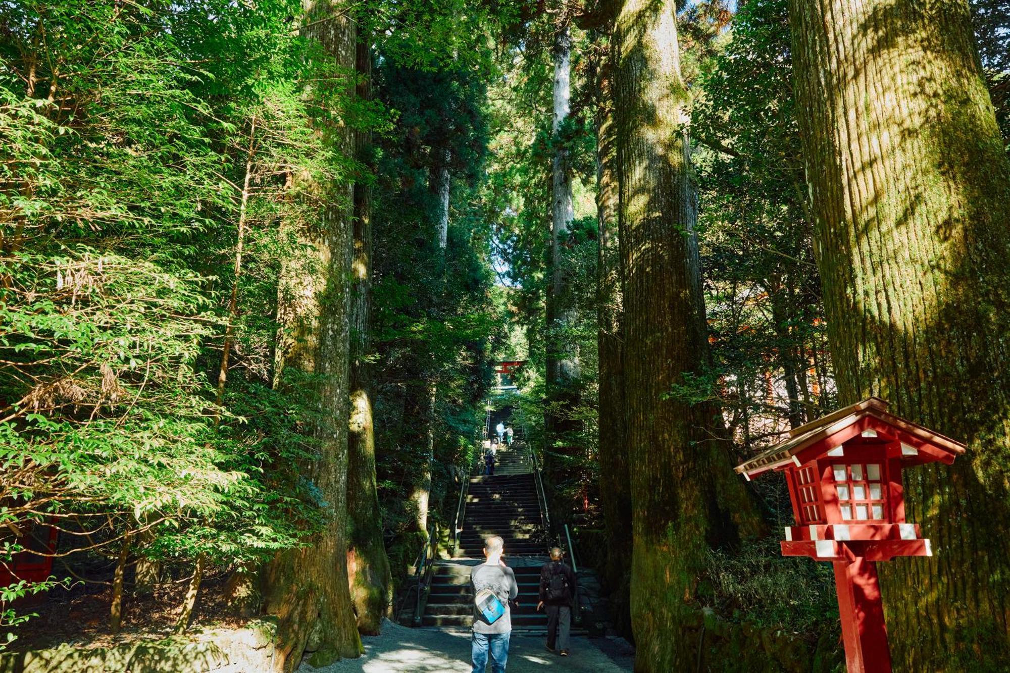 Villa Hakone Kabuto 古民家旅館 150平米 バス停迄一分 準天然温泉 最大12名 Eksteriør billede